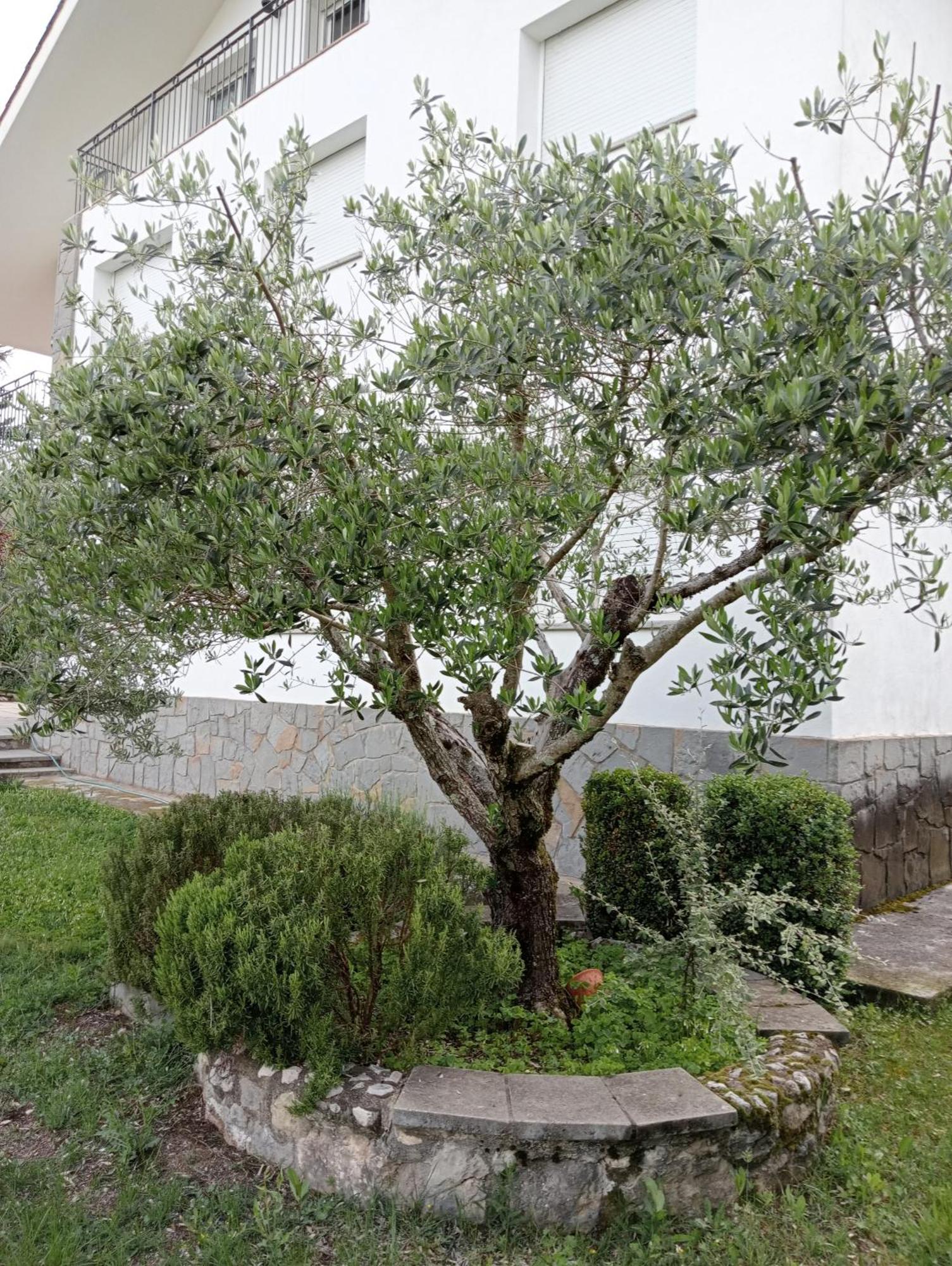 Apartamento-Casa Turistica L'Espigol San Lorenzo de Morunys Exterior foto